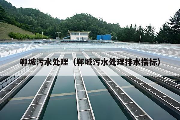 郸城污水处理（郸城污水处理排水指标）